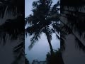 புயலுக்கு முன் அமைதி🌊⛈️☔