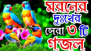 পছন্দের সেরা ৩টি মরনের গজল বাংলা কষ্টের গজল। Bangla Gazal New islamic selected 3 Gojol Moroner Gazal