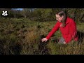 protecting fragile habitats at malham tarn