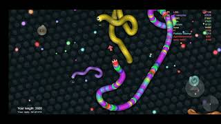 Slither io Best Snakes Trolling Giant games