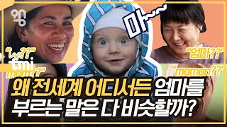 ‘엄마’를 의미하는 단어는 왜 전세계 어디나 다 비슷할까?