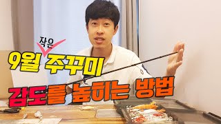 시즌초반 주꾸미를 누구보다 많이잡을수있는 개꿀팁