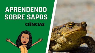 APRENDENDO SOBRE OS SAPOS