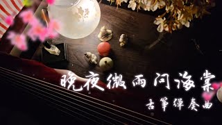 晚夜微雨问海棠丨古筝弹奏曲丨二哈和他的白猫师尊燃晚同人曲丨cover byKyrecitEeHao彳亍yi个