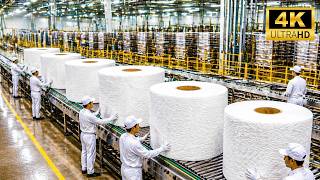 Toilet Paper Factory Process: Wood to Finished Rolls