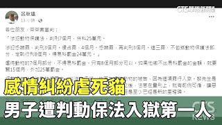 感情糾紛虐死貓　男子遭判7月.動保法入獄第一人｜華視新聞 20230721