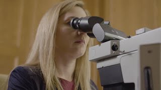 Genetic Testing vs Genomic Testing – Understanding the Difference