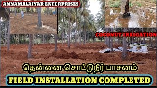 Coconut irrigation || Pvc coconut Save water ||தென்னை பாசனம் Drip irrigation by annamalaiyar