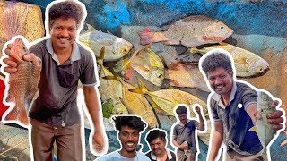 Back To Back Fish Catch 😍 || Daily Vlog