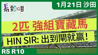 【賽馬易到咁】(1月21日)大熱不穩，2隻半冷馬值搏率極高｜賽馬貼士｜過關｜沙田賽事