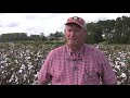 georgia cotton growers prepare for 2018 harvest