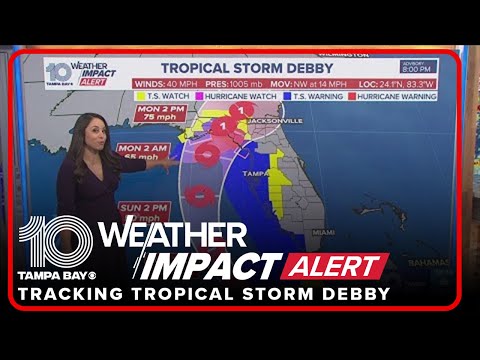 In search of the tropics: Tropical Storm Debby begins to bring rain and wind to Florida