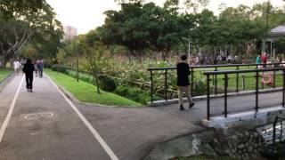 台北市青年公園小米九號平衡車 dji osmo mobile 雲台 iphone 6s plus 相機活動紀錄微電影合作