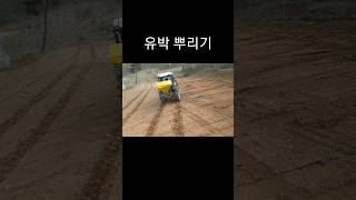 유박 뿌리기 #트랙터 #귀농 #고구마 #유박 #tractor #밭