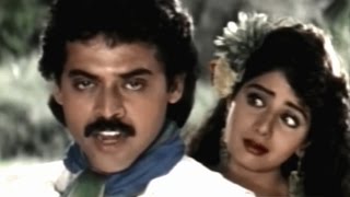 Kshana Kshanam Movie Video Songs || Chali Champutunna Video Song || Venkatesh , Sridevi
