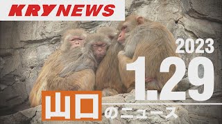 【KRYニュース】さようなら…徳山動物園のシンボル・サル山　６３年の歴史に幕