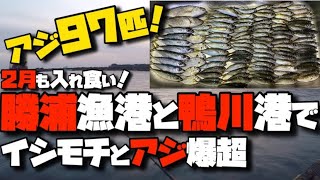 ※2024.1.31鴨川漁港内でのルアーを含む投げ釣りが禁止になりました。二月の外房釣行。真冬の勝浦漁港と鴨川漁港でアジやイシモチが100匹オーバー！