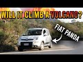 NEW Fiat Panda Hybrid - Is it any good?