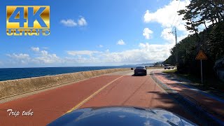 [4K] 🇰🇷울진 동해 바다의 아름다운 해안도로  Scenic Drive In Beautiful Coast Road, Korea