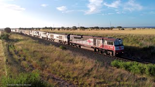 SCT 5PM9 With Boxcars, Containers \u0026 Steel Wagons (10/11/2024) - PoathTV Australian Trains \u0026 Railways