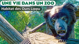 Montagne des Ours Lippus, tout juste | ÉPISODE101 | PLANET ZOO | Franchise