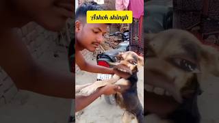 Ashok Singh ke #comedyvideo #comedy #trendingshorts #youtubeshorts