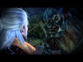 The Witcher 2: Chapter 2 Part 4 (Iorveth)