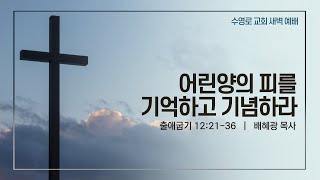 어린 양의 피를 기억하고 기념하라(출 12:21-36) | 배혜광 목사 | 월새벽 | 21.04.26