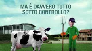 NUTRISTAR - Il metodo Ruminology per bovine da latte.