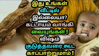 இது உங்கள் வீட்டில் இல்லையா? கட்டாயம் வாங்கி வையுங்கள் ! விஷம் குடுத்தவரை கூட காப்பாற்றுமாம்! Acorus