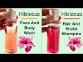 Homemade Hibiscus Face And Body Wash And : Homemade Hibiscus Hair And Scalp Shampoo