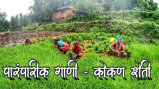 भाताची दाढ / तरवो काढतानाची पारंपरिक लोकगीते : कोकण भातशेती | Konkan Rice Farming | Konkan Farm Vlog