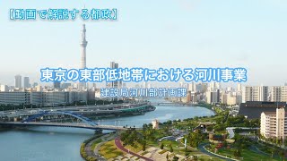 東京の東部低地帯における河川事業　#動画で解説する都政