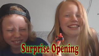 Surprise Opening Med Adrian,Vinga og Nisha  ▬ Kinderegg!