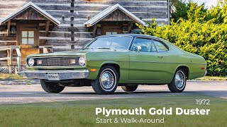 1972 Plymouth Gold Duster || Start & Walk-Around