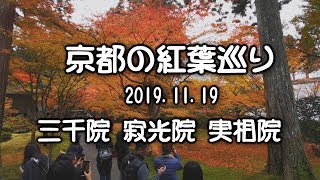 京都の紅葉　三千院・寂光院・実相院