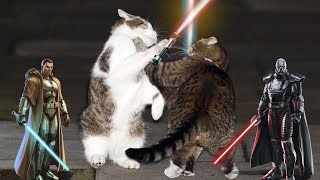 Gato Jedi Vs Gato Sith