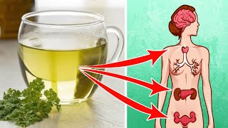 5 Impressive Benefits of Parsley Tea You Wish Someone Told You Earlier