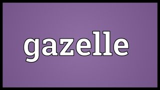 Gazelle Meaning