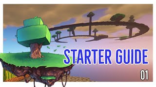 How to Get Started in Minecraft Skyblock Iridium | Quick Beginners Guide