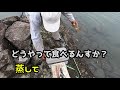 カニの釣り方を勉強