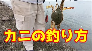 カニの釣り方を勉強