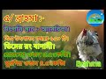 বিশ্বের সবচেয়ে বড় পাঁচ টি মুরগির জাত।top 5 biggest chicken breed.