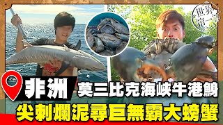 【世界大尋奇】莫三比克海峽獵殺牛港鯓 尖刺爛泥尋巨無霸大螃蟹｜《世界第一等》濃縮精華版