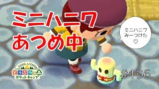 【ポケ森】ミニハニワ必死にあつめ中ｗ＆キャラメルクッキーも食べたよ【どうぶつの森ポケットキャンプ】#196 無課金