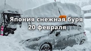 Снегопад в Японии  Япония снежная буря