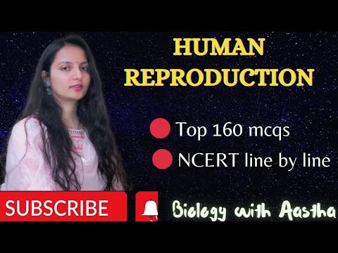 Top 160 Mcqs : Human Reproduction | L-2 | NCERT Line By Line | NEET2024 ...