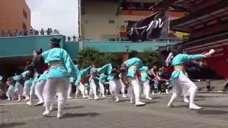 パワフル＠ビナウォーク「よさ来い」祭り2016　1st演舞