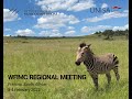 2022 WFIMC Regional Meeting presented by UNISA Intl. Music Competition