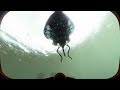 4k subnautica relaxing scuba diving in all of the biomes ambience u0026 music ultra max graphics